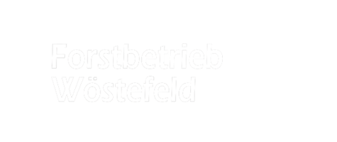 Forstbetrieb Wöstefeld